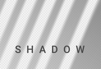 Shadow light overlay window wall scene mockup. Shadow transparent background