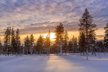 Winter sunrise landscape