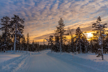 Winter landscape at sunset, frozen trees in winter in Lapland, Finland	
