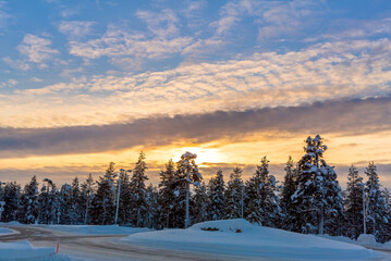Winter landscape at sunset, frozen trees in winter in Lapland, Finland	
