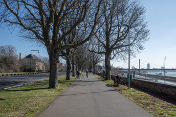 Outdoor sunny tranquil perspective view on pedestrian and bicycle lane on promenade riverside of Rhine River in Düsseldorf, Germany. © Peeradontax