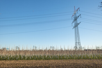 Outdoor sunny view of trees and agricultural field under high voltage post and cable on countryside in Düsseldorf, Meerbusch, Germany in winter season.