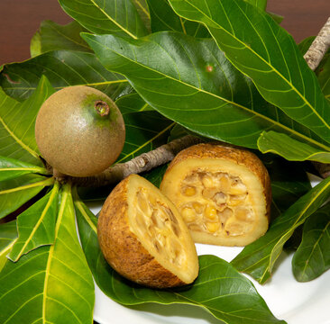 Jenipapo, American Genipa, ripe fruits cut in half showing their interior, with leaves of the same species. Typically Brazilian fruit very rich in iron and used to make liqueur