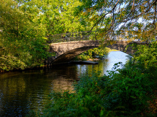 Fototapeta na wymiar River Garden and Bridge in Charles River Esplanade Park 