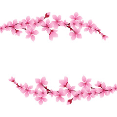 Floral background with sakura flowers, vector illustration.