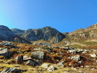Autumn vegetation between large rocks on a sun-drenched mountainside in the foreground and mountain peaks against a blue sky on an October morning