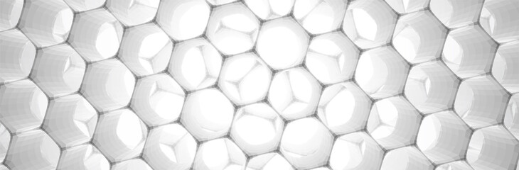 Abstract White Grey Hexagon background. 3d render. Technology vector illustration