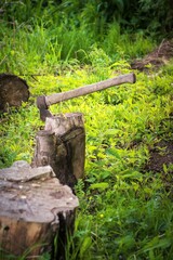 old axe in the grass