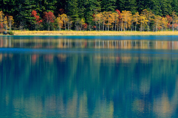 阿寒摩周国立公園　オンネトーの紅葉