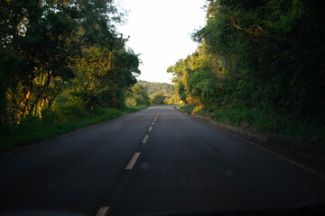 Fototapeta premium road in autumn
