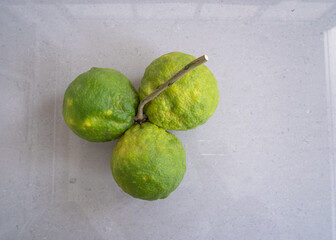 A big green lime with a stalk