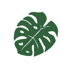 monstera leaf on white background. monstera tropical leaves (swiss plant). tropical jungle Monstera leaves sign. flat style.