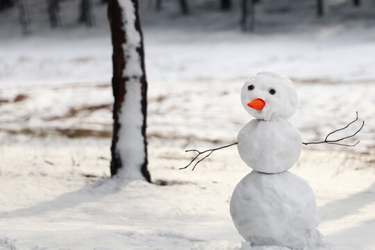 Funny snowman in winter forest. Space for text