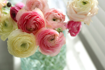 Beautiful ranunculus flowers in vase indoors, closeup