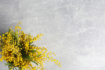 Bouquet of beautiful mimosa flowers on grey table