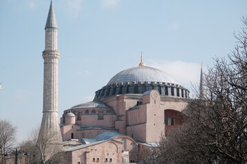 Turkey istanbul 03.03.2021. Facade and outside of Hagia sophia mosque now,before museum and ancient church from sultanahmet square with tourist palm trees during blue overcast sky background.
