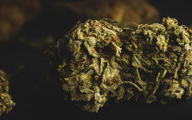 close up portrait of MAngo Kush Cannabis Marijuana Dry Buds,