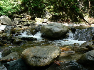Waldlandschaft mit Wasserfall und Bachlauf
