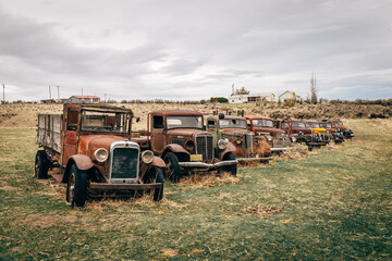 Lineup