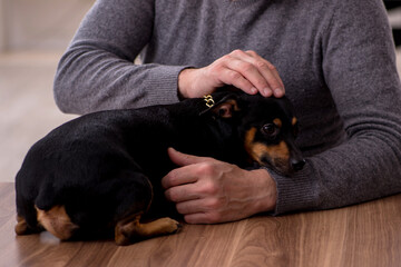 Young male doctor vet examining dog in the clinic
