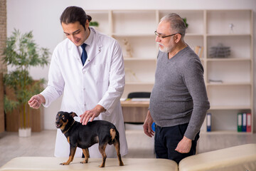 Young male doctor vet examining dog in the clinic