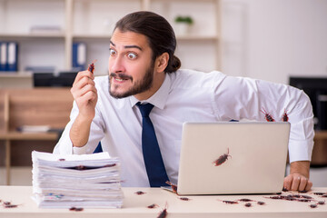 Young male employee and too many cockroaches in the office