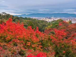 Kyoto/Japan - November 19, 2019: view on the city early autumn morning.