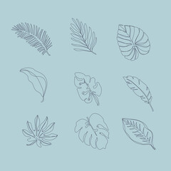 Leaf hand drawing, line art style.