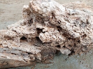 the rock of karangjahe beach in Indonesia