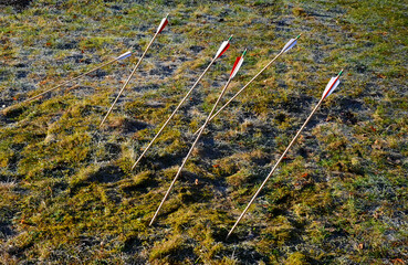the archer collects the stuck arrows, and from a height a crowd of arrows shot from a bow at a...
