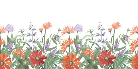 Vector floral seamless border. Summer flowers, herbs, leaves. Gaillardia, marigold, oxeye daisy, calendula,  rosemary, lavender, sage, allium. Orange, red, blue flowers isolated on a white background.