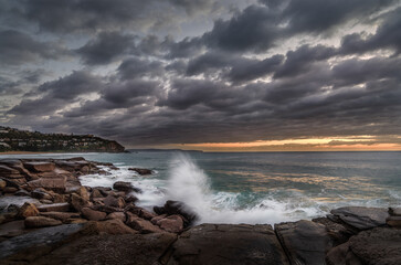 Whale Beach