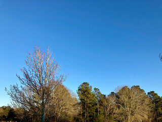 beautiful sunrise sunset