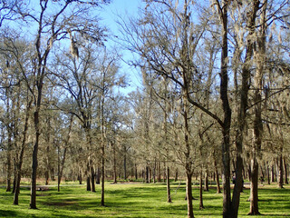 Obraz premium OLYMPUS DIGITAL CAMERA