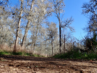 Obraz premium OLYMPUS DIGITAL CAMERA