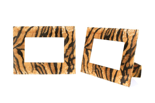 Wildlife fur tiger photo frame isolated on white