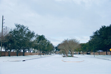 Fototapeta premium winter scenery nature morning beautiful sky birds ice snow 