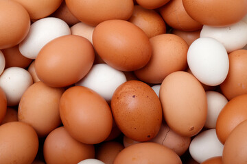 Broken eggs and lots of eggs. texture 