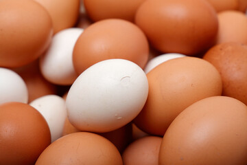 Broken eggs and lots of eggs. texture 