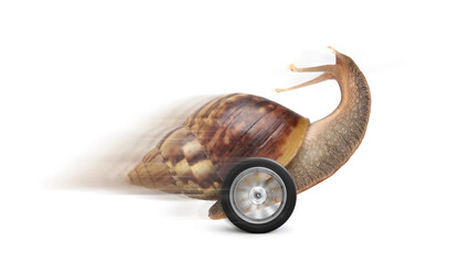 Speedy garden snail with wheel and motion blur isolated on white background. Speed conceptual image. © Paitoon