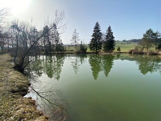 Gizlen pond (Gizlen Weiher) next to the natural protection zone Aargau Reuss river plain...