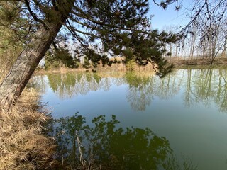 Gizlen pond (Gizlen Weiher) next to the natural protection zone Aargau Reuss river plain...