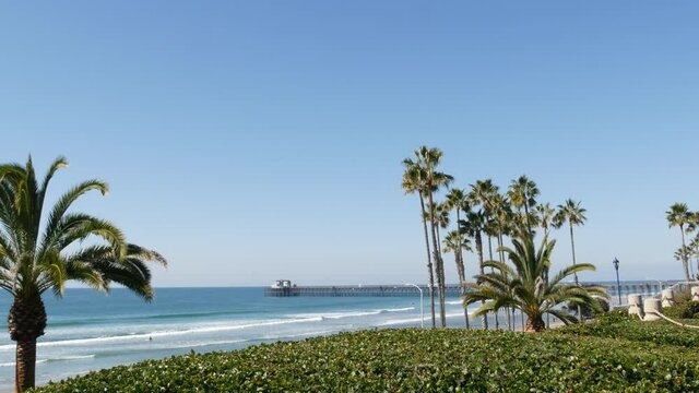 Pacific ocean beach, green palm trees and pier. Sunny day, tropical waterfront resort. Vista viewpoint in Oceanside, near Los Angeles California USA. Summer sea coast aesthetic, seascape and blue sky.