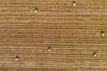 Harvesting hay for the winter, fodder for cattle, round bales in the field view from above.