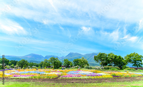 花の香る風景 春 新緑 初夏 香る風景 日本 九州 大分県 撮影地 くじゅう花公園年新緑 Flowery Landscape Spring Fresh Green Early Summer Fragrant Scenery Japan Kyushu Oita Prefecture Location Kuju Flower Park Fresh Green Wall 花の香る風景 春 新緑 初夏 香る風景 日本 九州 大分県 撮影地 くじゅう花公園年新緑 Flowery Landscape Spring Fresh Green Early Summer Fragrant Scenery Japan Kyushu Oita Prefecture Location Kuju Flower Park Fresh Green Wall