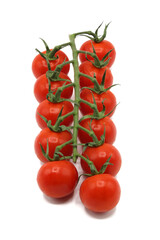 Cherry tomatoes in deep red branch