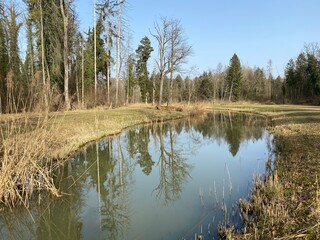 Die Altwasser im Rottenschwiler Moos and in the natural protection zone Aargau Reuss river plain...