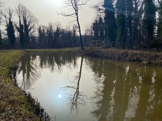 Die Altwasser im Rottenschwiler Moos and in the natural protection zone Aargau Reuss river plain...