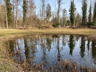 Die Altwasser im Rottenschwiler Moos and in the natural protection zone Aargau Reuss river plain...