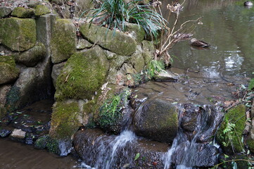 水